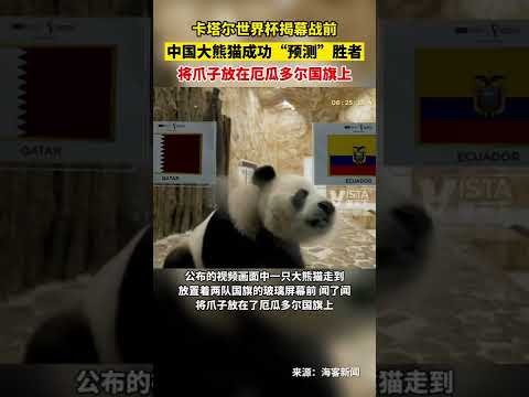 利物浦升级,胜过三冠王,菲利普斯如,NG娱乐娱乐官网,NG娱乐视讯平台,NG娱乐电子游戏,NG娱乐体育电竞,NG娱乐棋牌彩票,NG大舞台