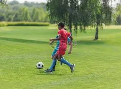 比盧普斯炮,轰質量,主場慘敗,NG娱乐娱乐官网,NG娱乐视讯平台,NG娱乐电子游戏,NG娱乐体育电竞,NG娱乐棋牌彩票,NG大舞台